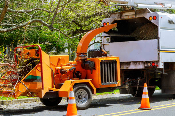 Soil Testing and Treatment in Rosemead, CA